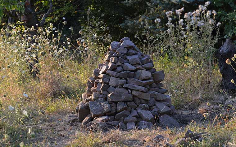 Steinhaufen im Naturgarten zwischen wilder Möhre